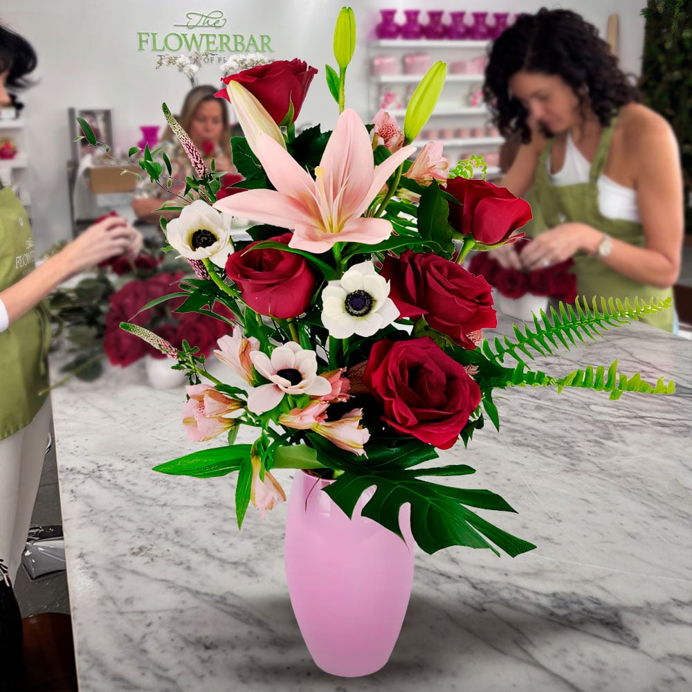 sweet anemone mar 25th & 28th