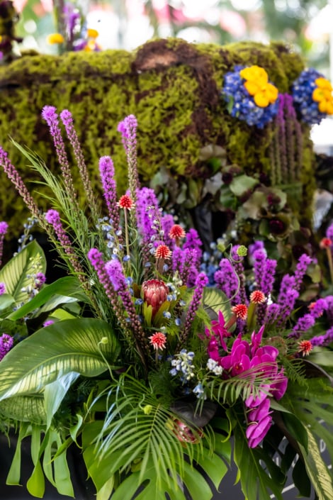 5 tom bronson bvp 6046