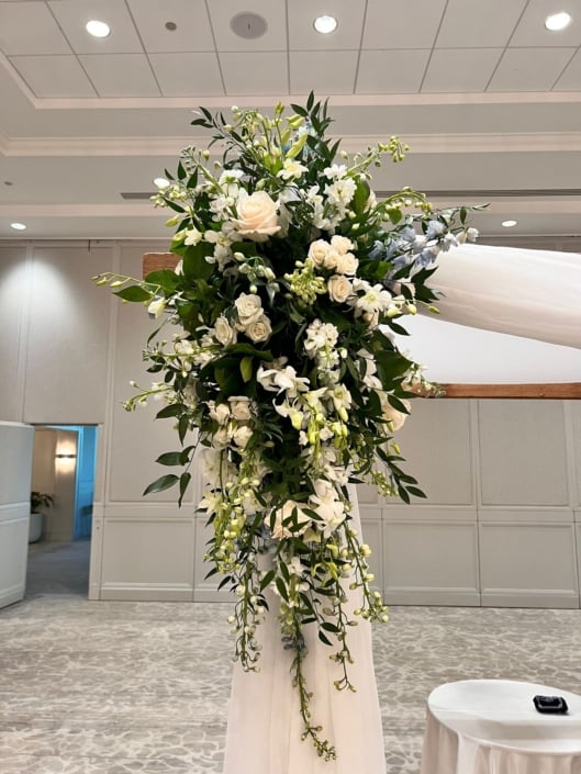 whatsapp image 2025 06 18 at 1.53.17 pm (1)