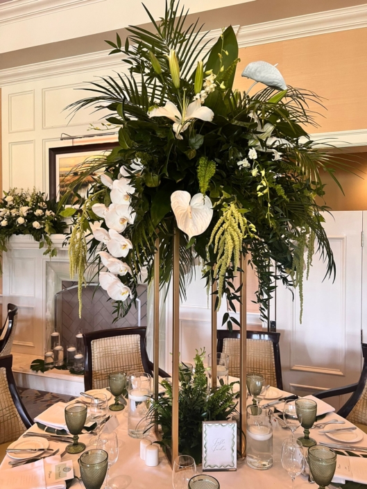 whatsapp image 2025 06 23 at 11.51.53 am (2)