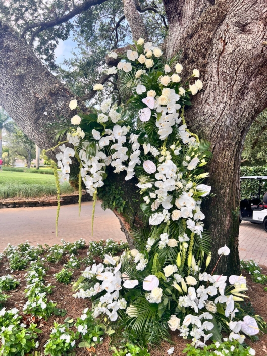 whatsapp image 2025 06 23 at 11.51.56 am (1)