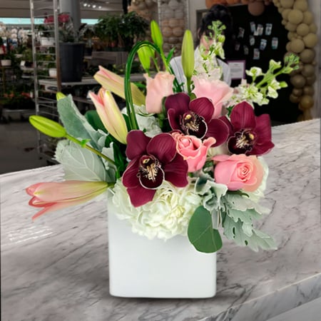 swirl cherry may 13th & may 16th