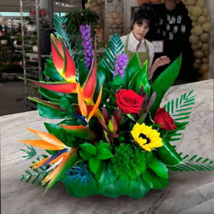 tropical fiesta apr 22nd & 25th a