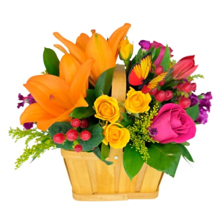 solstice basket