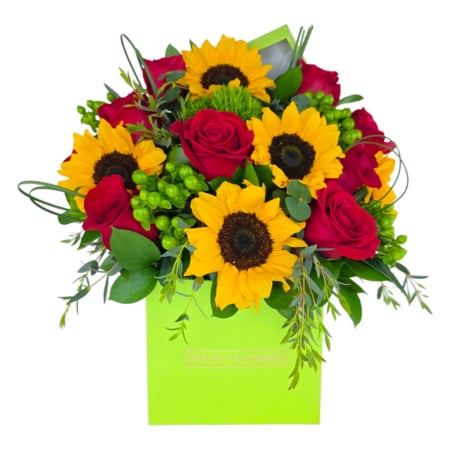sunshine in a box