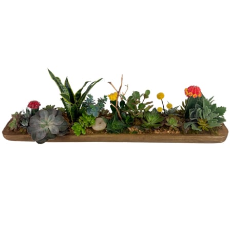 zen garden