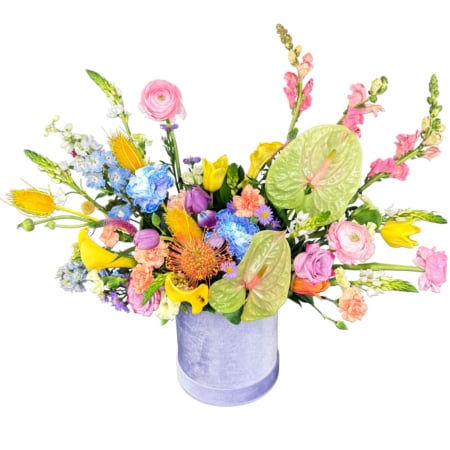 pastel garden